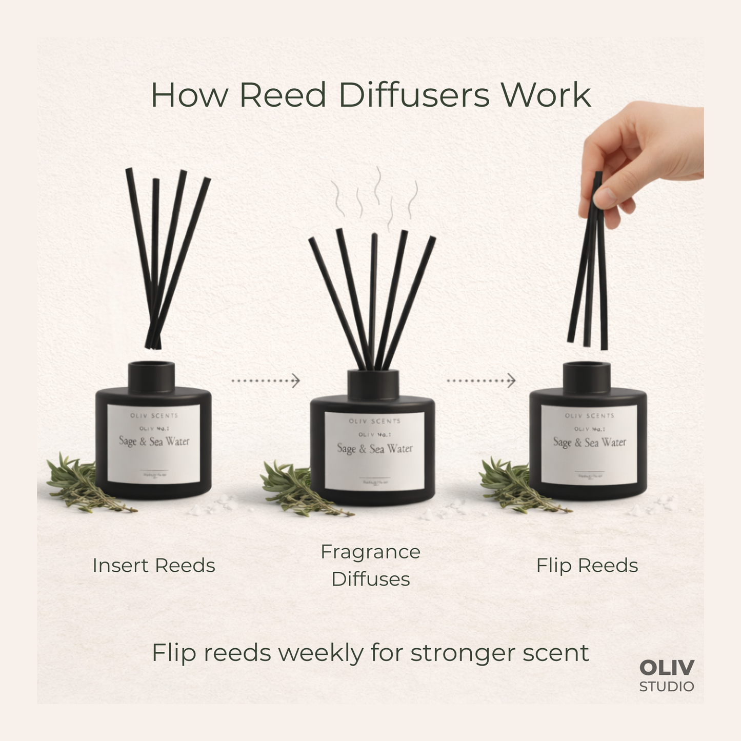 OLIV Scents Reed Diffuser (170ml)