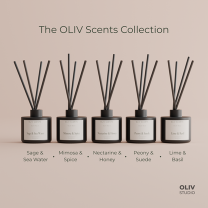 OLIV Scents Reed Diffuser (170ml)